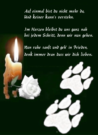 004Borga