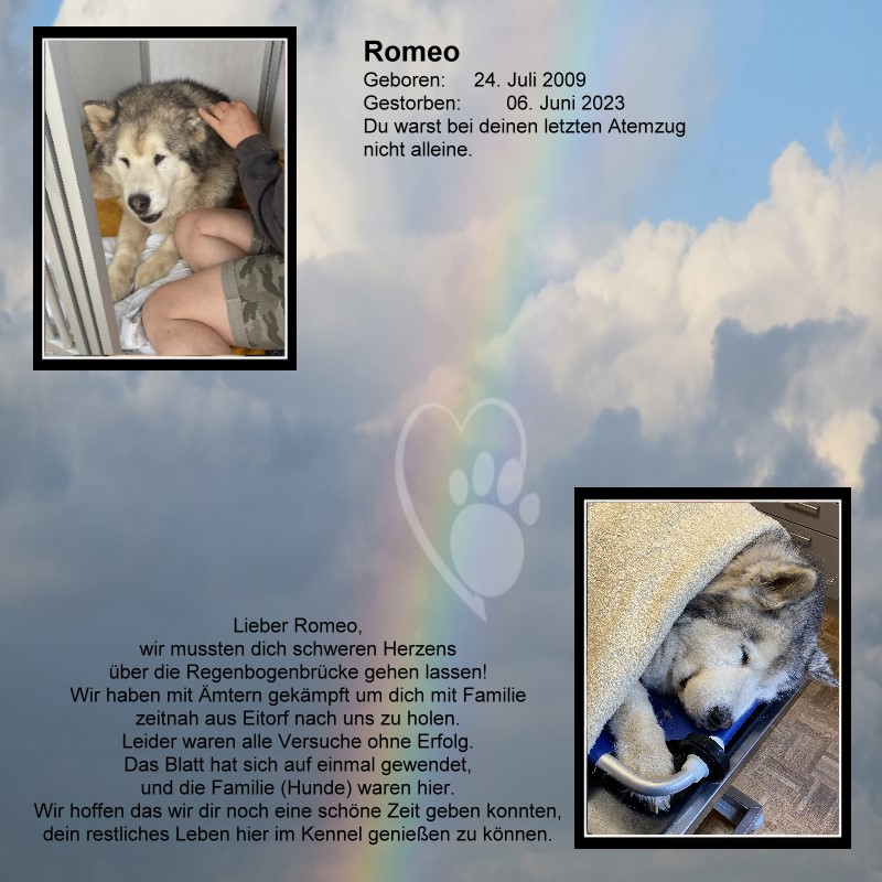Romeo01